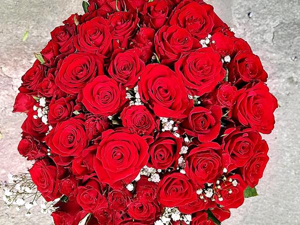 Rose Rosse